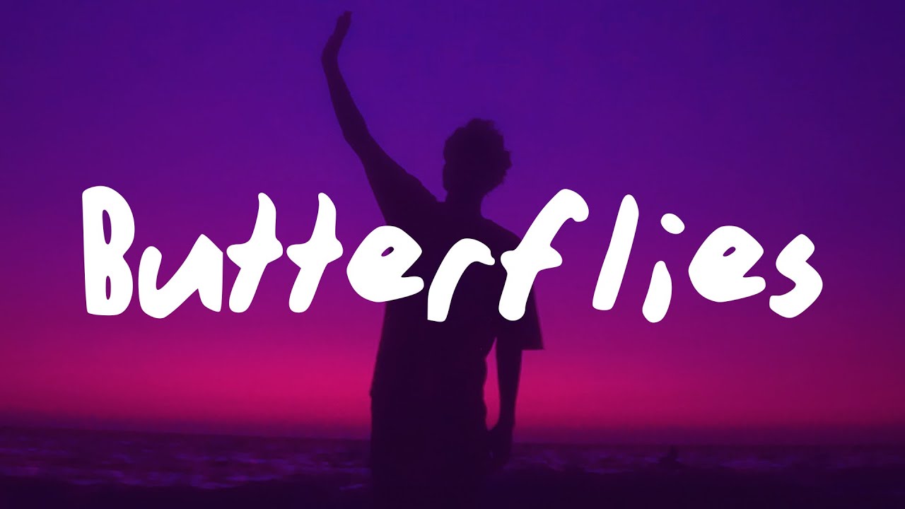 You Give Me Butterflies Lyrics You Give Me Butterflies Lyrics