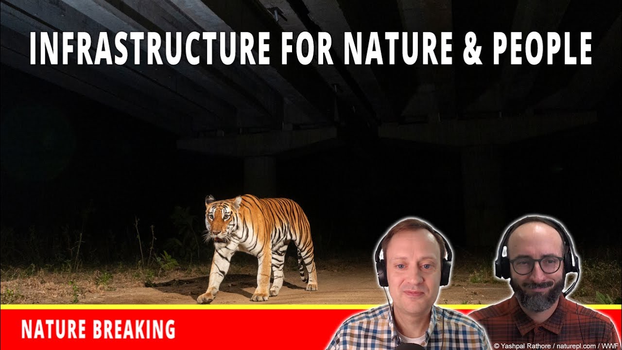 How Sustainable Infrastructure Can Protect Nature & People