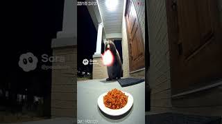a fire-breathing bear #ai #bear