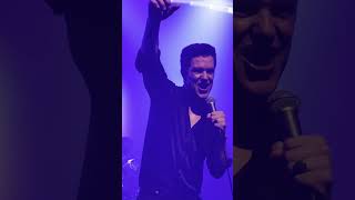 The Killers - My God (Brandon Flowers Compilation)