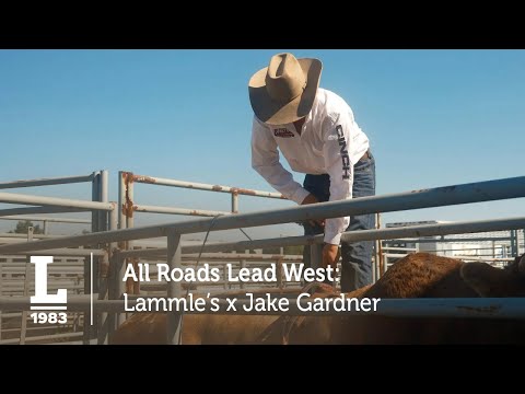 All Roads Lead West: Lammle's x Jake Gardner