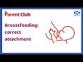 Breastfeeding Correct Attachment