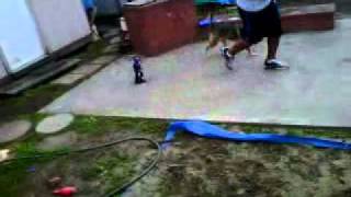 ami scared of the robot part 2