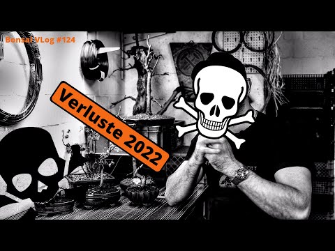 Bonsai Verluste 2022 - Ich kann tote Bonsais sehen [Tod] | Bonsai VLog #124
