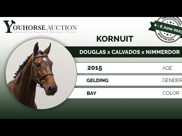 Kornuit