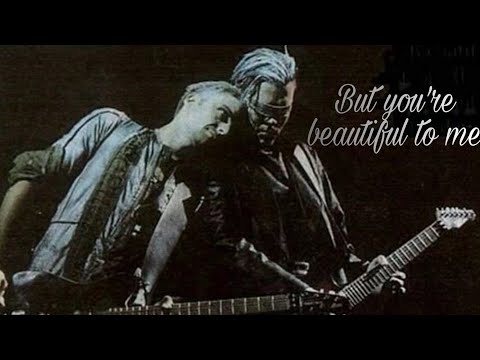 【Paulchard】But you're beautiful to me（Richard Kruspe x Paul Landers）