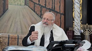 הפיכת סדום ועמורה בימינו | הרב שמואל אליהו | הלכה יומית | י"ב חשוון תשפ"ה (הרב שמואל אליהו) - התמונה מוצגת ישירות מתוך אתר האינטרנט יוטיוב. זכויות היוצרים בתמונה שייכות ליוצרה. קישור קרדיט למקור התוכן נמצא בתוך דף הסרטון