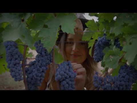 Thrace is just by the side of Istanbul! Welcome to Thrace!