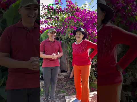 Rincón Frondoso: Echa Raíces en una Acogedora Aventura en la Tienda de Plantas