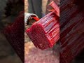 Red Chandan लाल चंदन Shortsvideo Trending Viral Akhilvlogs