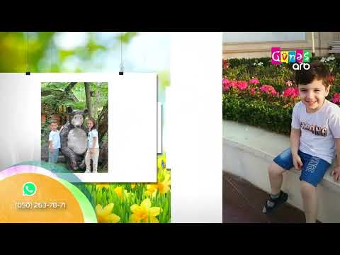 "Çərpələng" - 17 mart 2025-ci il