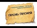 Панорама Библии - 23 | Алексей Коломийцев | Песнь Песней 