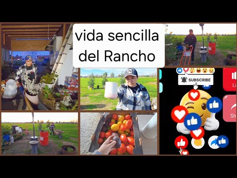 Así es la vida en el Rancho//rutina diaria con mucha paz !! 
