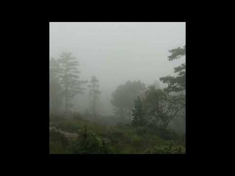 [FREE] irko + realo type beat - "molière" (p. 6min)