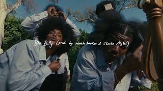 Blu Billy Music Video