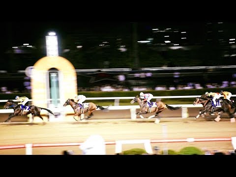 2017.06.28第40回帝王賞(JpnⅠ)ケイティブレイブ＆福永祐一＠大井競馬場