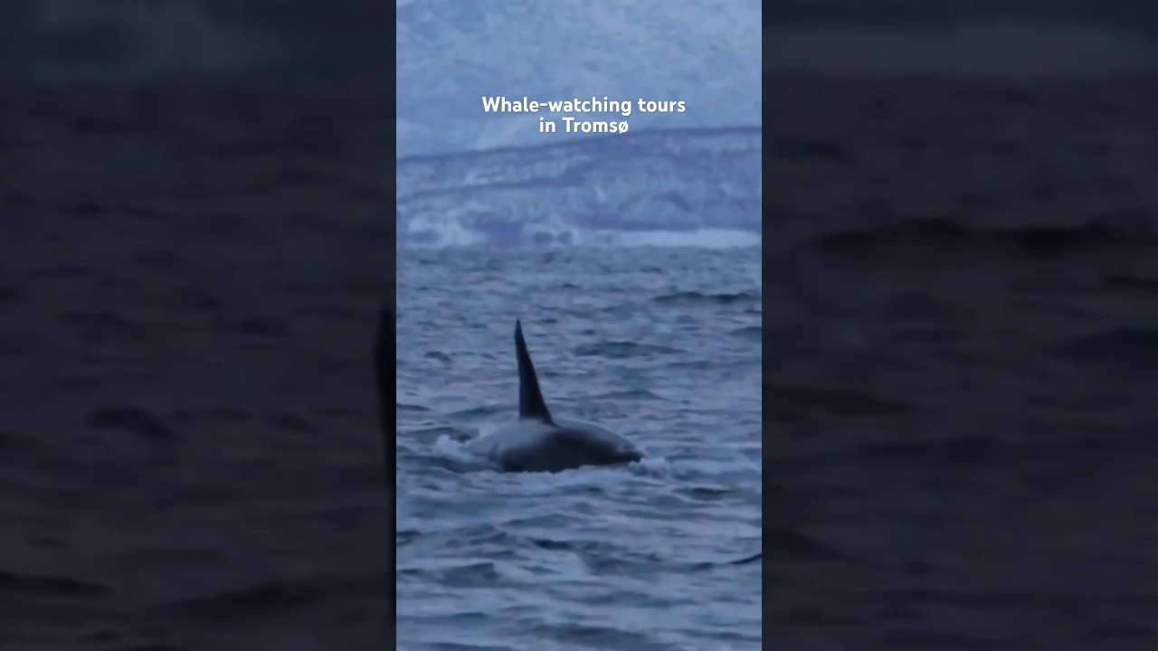 YouTube Short thumbnail