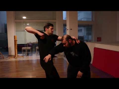 wing chun kung fu - fighting a bigger opponent demo