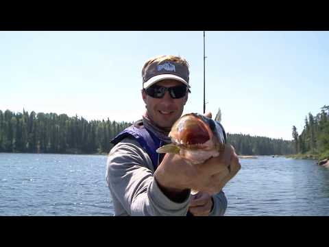 Wabakimi Canoe Outfitters & EcoLodge – The Ontario Experience TV