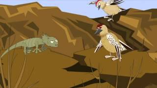 9  Which plants can store water in the desert