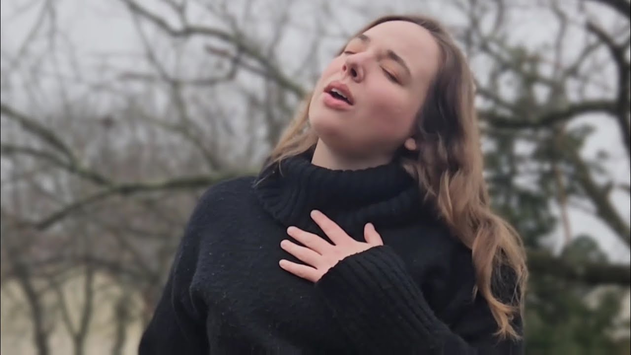 Promotional video thumbnail 1 for Lauren Ash
