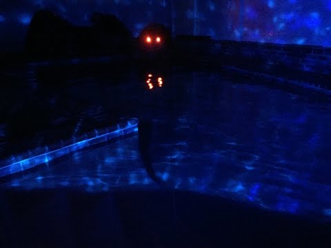 Cthulhu's Temple of Horror 2016