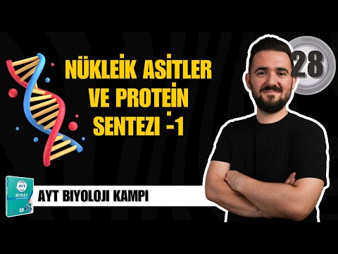 AYT Biyoloji Kampı | 28. GÜN | Nükleik Asitler ve Protein Sentezi-1 | yks2025