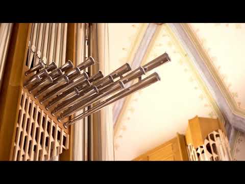 download lagu mp3 mp4 Piano Organ Duet Books, download lagu Piano Organ Duet Books gratis, unduh video klip Piano Organ Duet Books