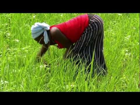 The beautiful Sierra Leone History