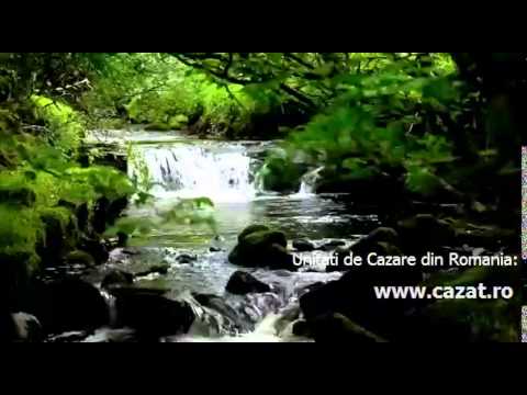 Cazare Butin, Timis - Cazat.ro