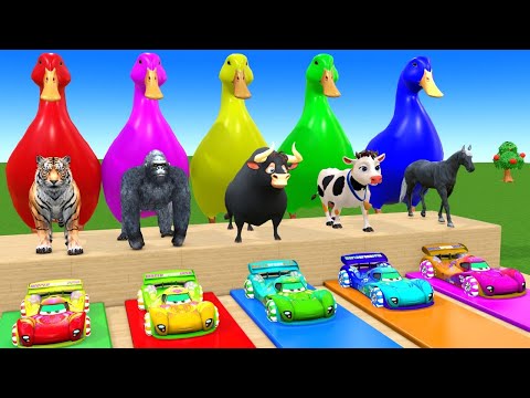 Long Slide Game With Cow Elephant Gorilla Hippopotamus Tiger 3d Animal Game Funny 3d Animals