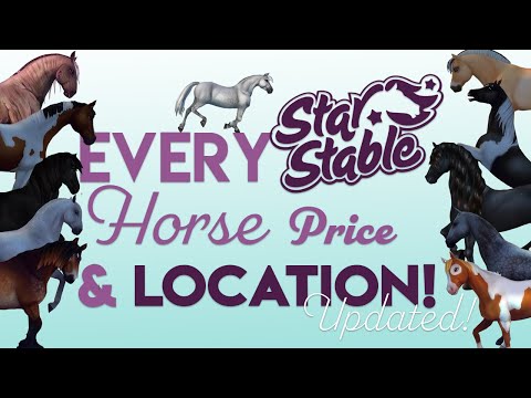 download lagu mp3 mp4 Horse Stable Prices, download lagu Horse Stable Prices gratis, unduh video klip Horse Stable Prices