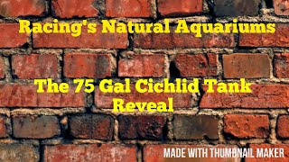 75 Gallon Cichlid Tank Reveal
#FishFam #Fishtube #Cichlids