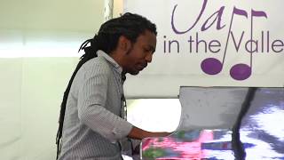 Elio Villafranca & The Jass Syncopators Live at Jazz in The Valley Fest