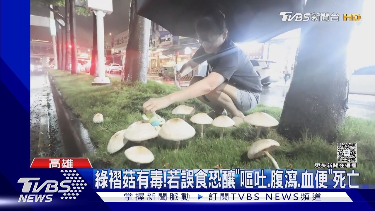 影音/高雄雨下到「長菇」! 騎士疑遭轎車濺水摔倒 國道油罐車也失控