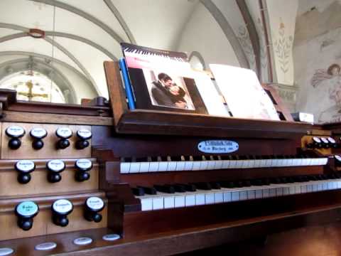 Orgelführung 4: Die Orgel der Ritterkapelle in Haßfurt (1890) [vorgestellt für Kinder]