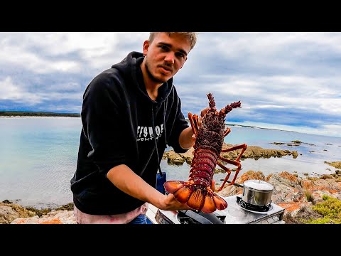 Monster Crayfish Catch & Cook - Green Lip Abalone & Shooting At The Farm Part 4