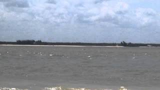 preview picture of video 'Golfinhos na foz do Rio Real, entre Sergipe e Bahia (Mangue Seco) - Dolphins in the Real River'