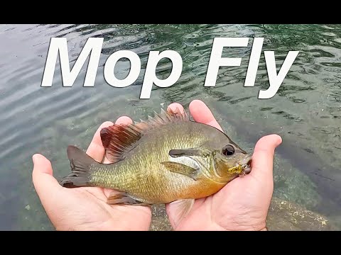 Fly Tying and Fly Fishing in Austin: Catching Fish on the Mop Fly