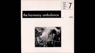 The Harmony Ambulance (Julianne Regan) - All This and Heaven