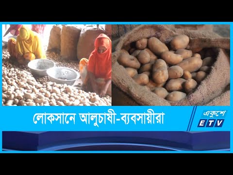 আলুর দরপতনে ব্যবসায়ীরা চরম বিপাকে