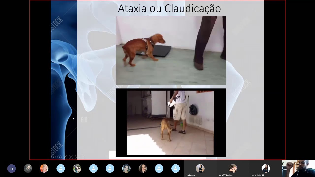 Introdução à ortopedia