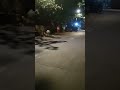 Red Light Area Mumbai Andheri