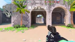 valo自分用