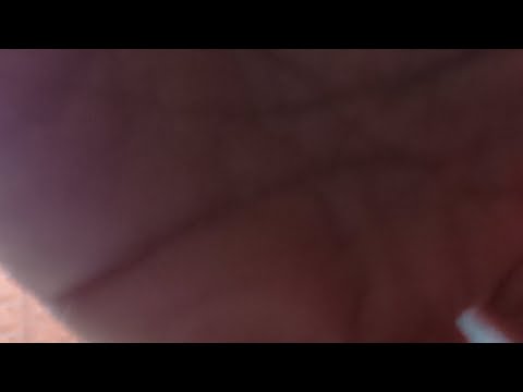 PODCAST | NGOBROL SANTAI BERSAMA DISPORA KOTA PAGARALAM