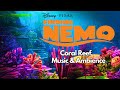 Disney S Finding Nemo Underwater Coral Reef Music For Sleep Relaxation Study