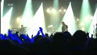 Them Crooked Vultures - Scumbag Blues