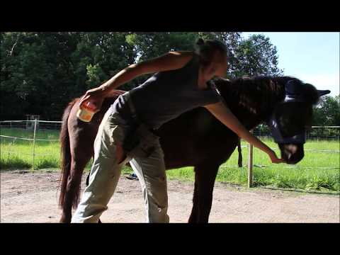 Fieber messen - Analysevideo I Medical Training