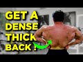 The BEST Workout for a Thick Back
