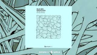 Video thumbnail for Slo Mo Grooves (Royalty Free Hip Hop, Lofi House, Downtempo Samples) by Samplestar Music